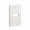 Imagen principal de Placa Pared Mini-Com 2 Puertos Blanca - PANDUIT CFPL2IWY